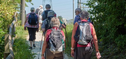 Mehrere Menschen wandern durch eine Landschaft.